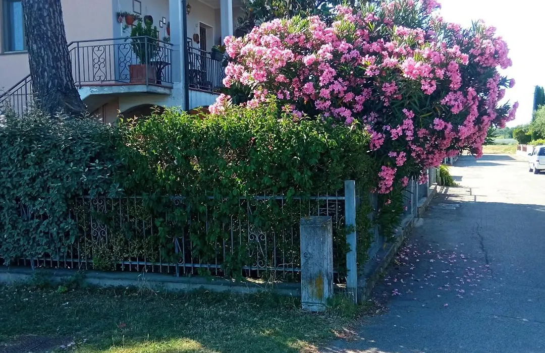 Casa Vintago B&B-1